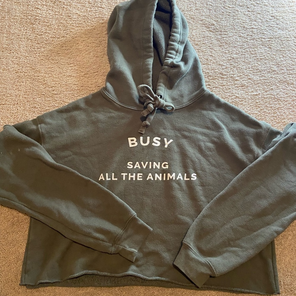 Wholesome Culture Green Cropped Hoodie Sweatshirt